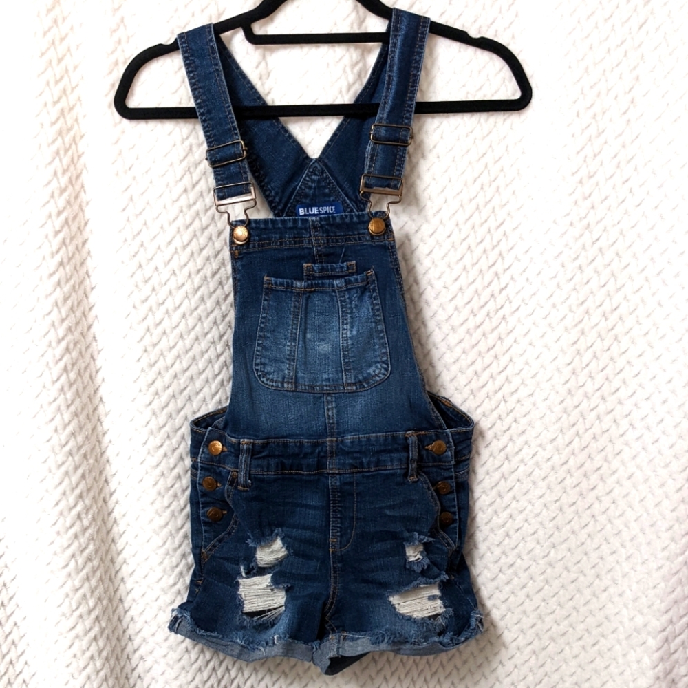 Blue Spice Overalls